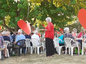 Netherville Retirement Village