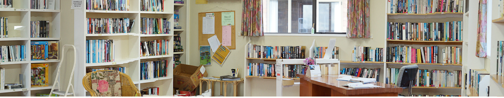 Netherville Village Library